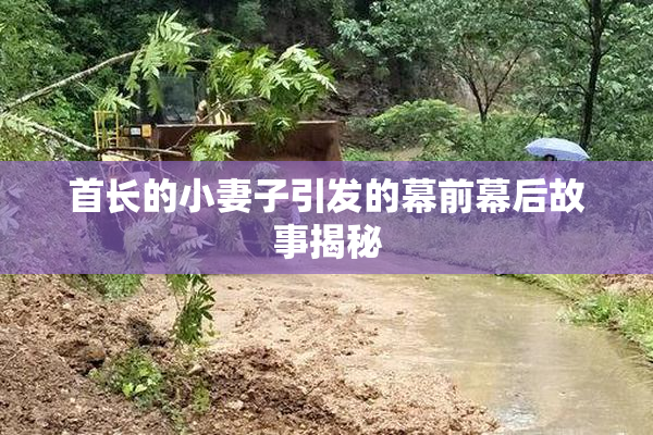 首长的小妻子引发的幕前幕后故事揭秘