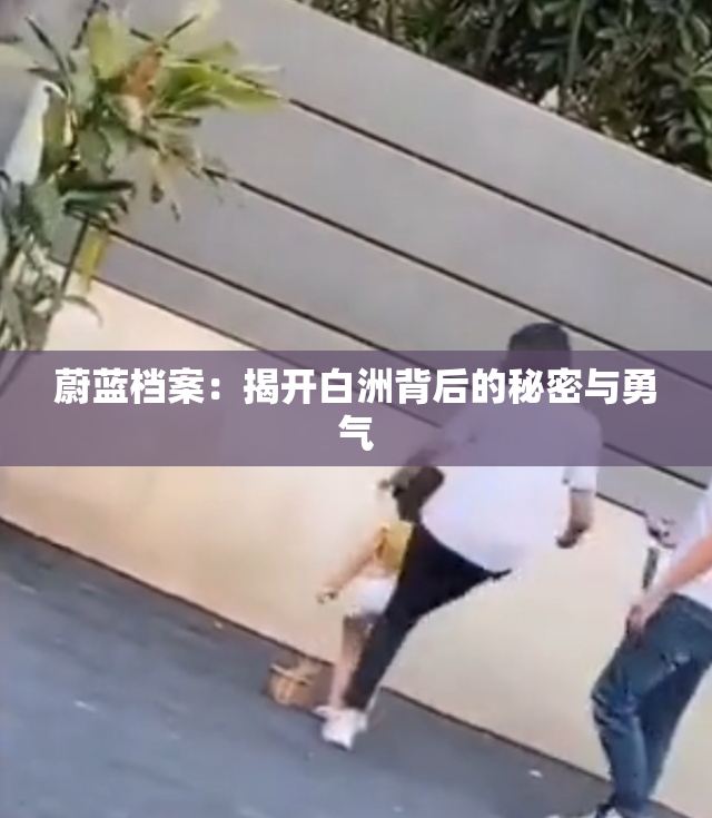 蔚蓝档案：揭开白洲背后的秘密与勇气
