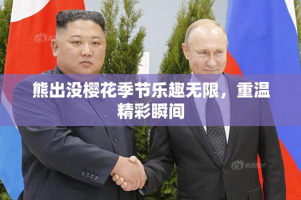 熊出没樱花季节乐趣无限，重温精彩瞬间