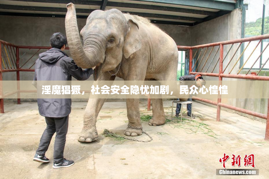 淫魔猖獗，社会安全隐忧加剧，民众心惶惶