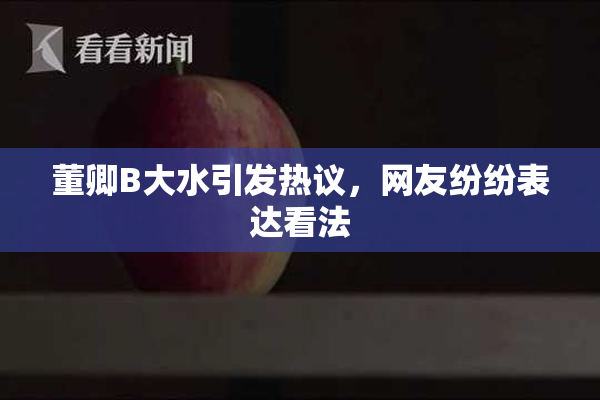 董卿B大水引发热议，网友纷纷表达看法