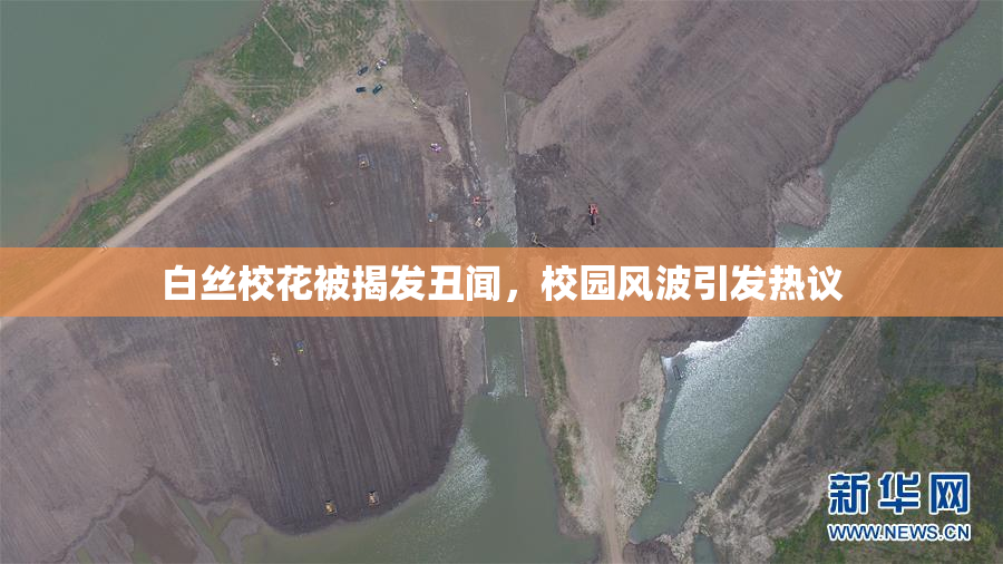 白丝校花被揭发丑闻，校园风波引发热议