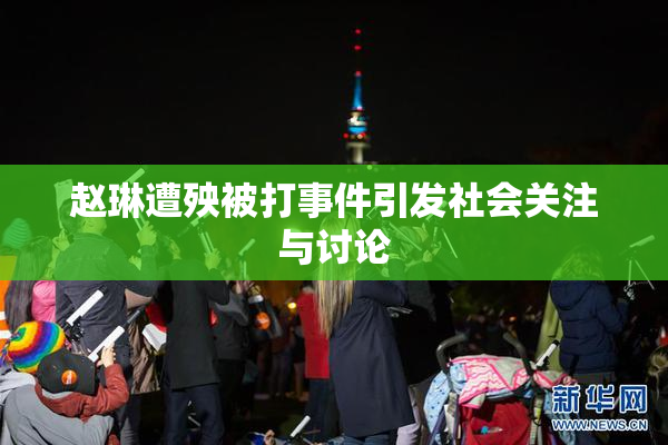 赵琳遭殃被打事件引发社会关注与讨论