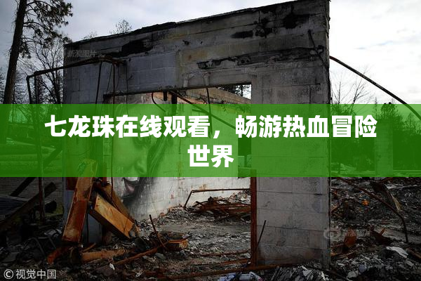 七龙珠在线观看，畅游热血冒险世界