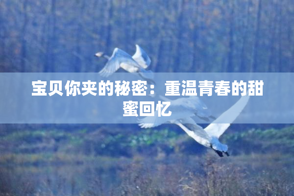 宝贝你夹的秘密：重温青春的甜蜜回忆