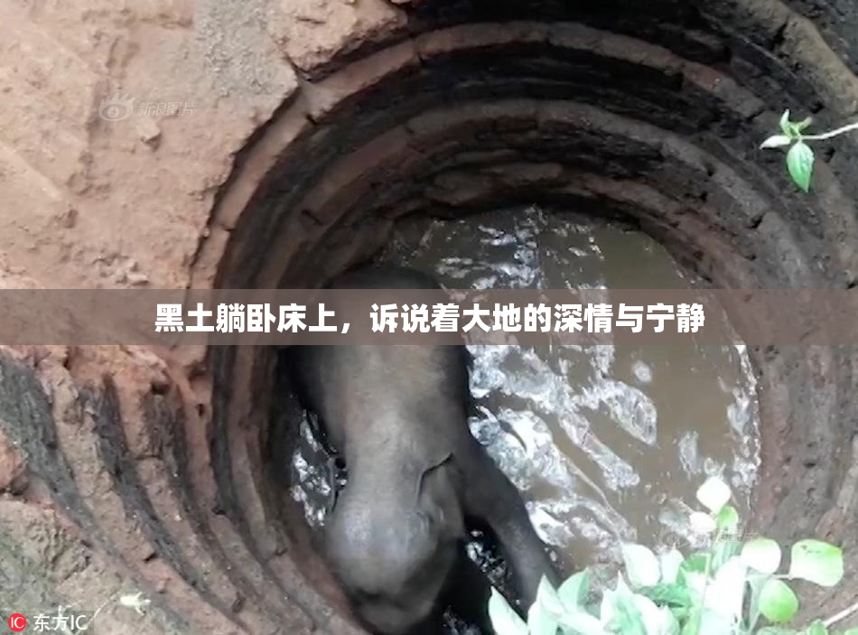 黑土躺卧床上，诉说着大地的深情与宁静