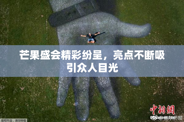 芒果盛会精彩纷呈，亮点不断吸引众人目光