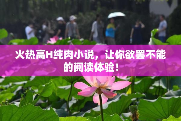 火热高H纯肉小说，让你欲罢不能的阅读体验！