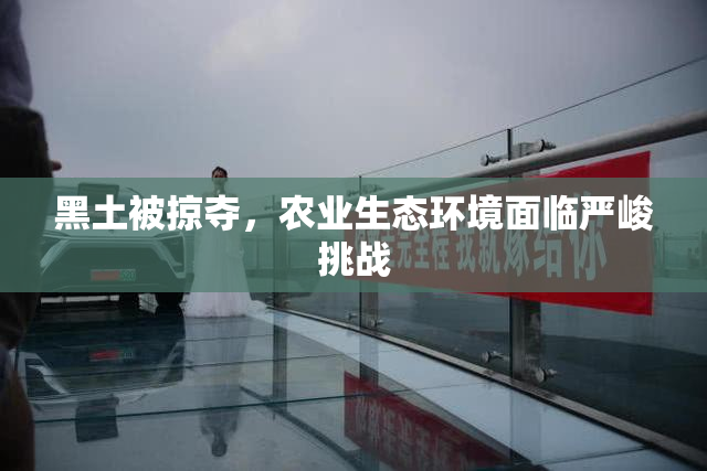 黑土被掠夺，农业生态环境面临严峻挑战