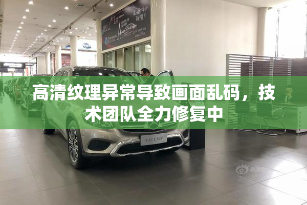 高清纹理异常导致画面乱码，技术团队全力修复中