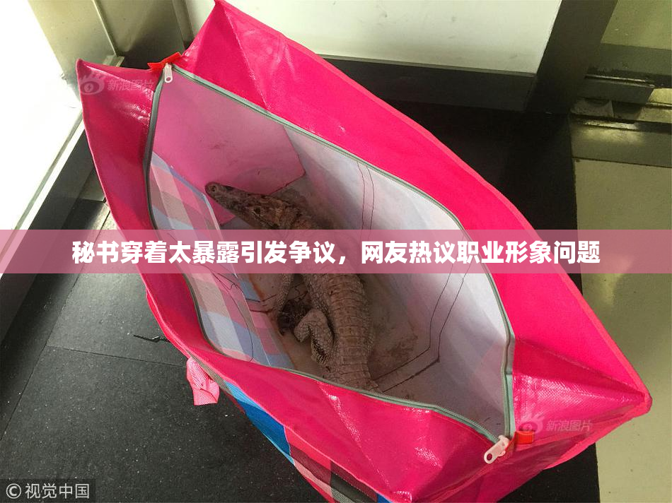秘书穿着太暴露引发争议，网友热议职业形象问题