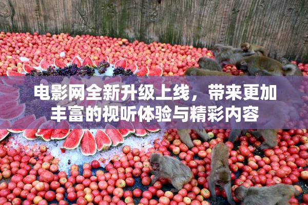 电影网全新升级上线，带来更加丰富的视听体验与精彩内容