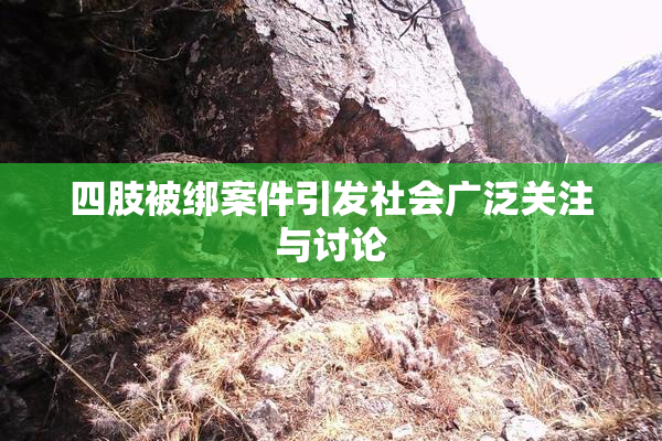 四肢被绑案件引发社会广泛关注与讨论