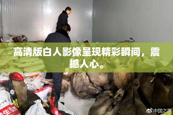 高清版白人影像呈现精彩瞬间，震撼人心。