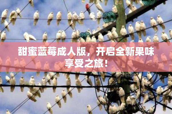 甜蜜蓝莓成人版，开启全新果味享受之旅！