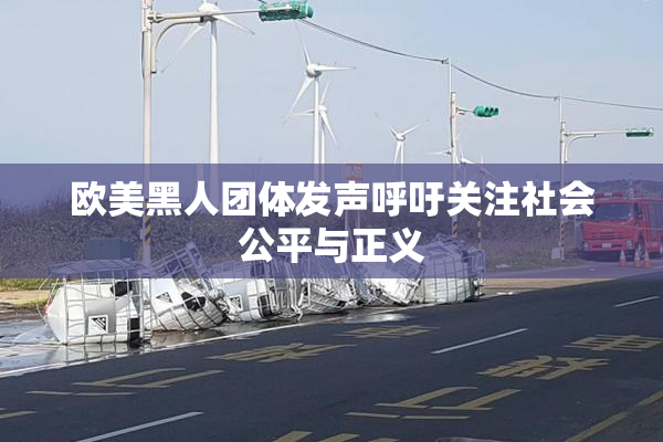 欧美黑人团体发声呼吁关注社会公平与正义