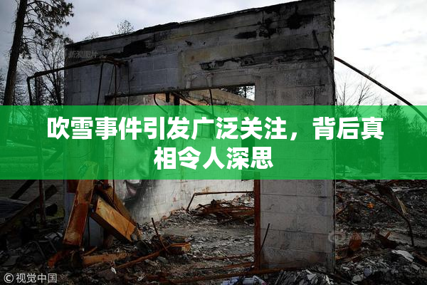 吹雪事件引发广泛关注，背后真相令人深思