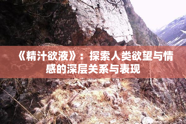 《精汁欲液》：探索人类欲望与情感的深层关系与表现