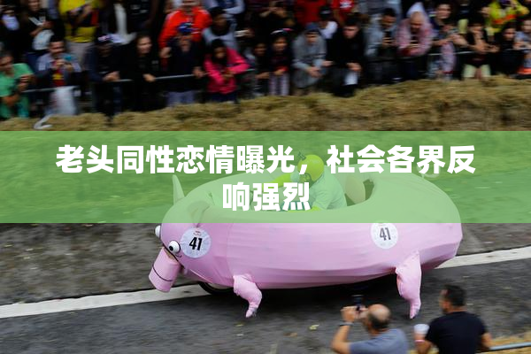 老头同性恋情曝光，社会各界反响强烈