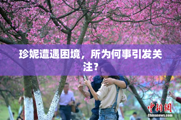 珍妮遭遇困境，所为何事引发关注？