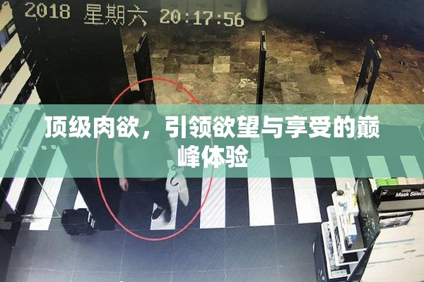 顶级肉欲，引领欲望与享受的巅峰体验