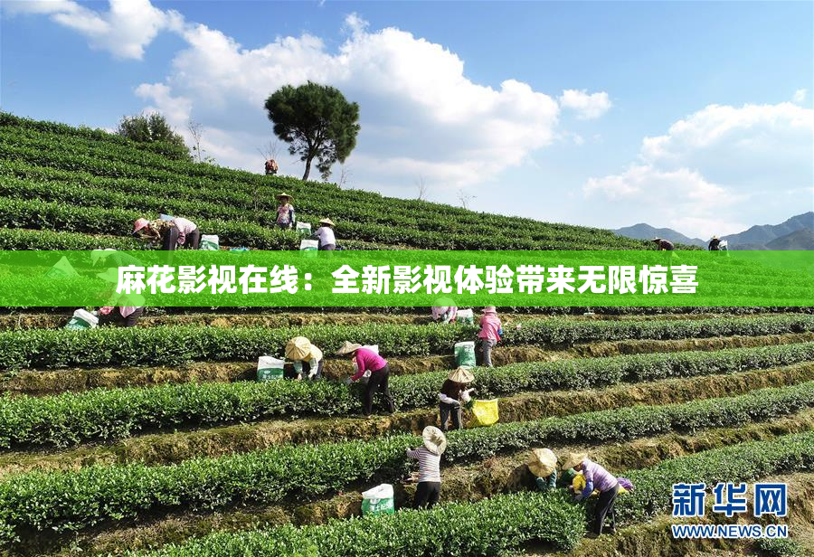 麻花影视在线：全新影视体验带来无限惊喜