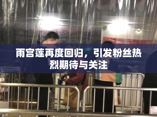 雨宫莲再度回归，引发粉丝热烈期待与关注