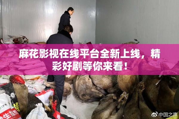 麻花影视在线平台全新上线，精彩好剧等你来看！