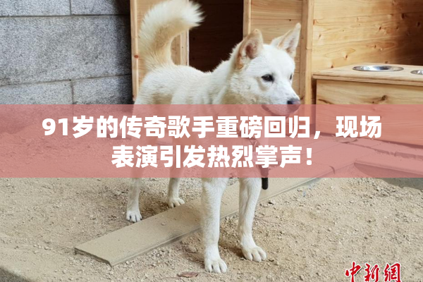 91岁的传奇歌手重磅回归，现场表演引发热烈掌声！