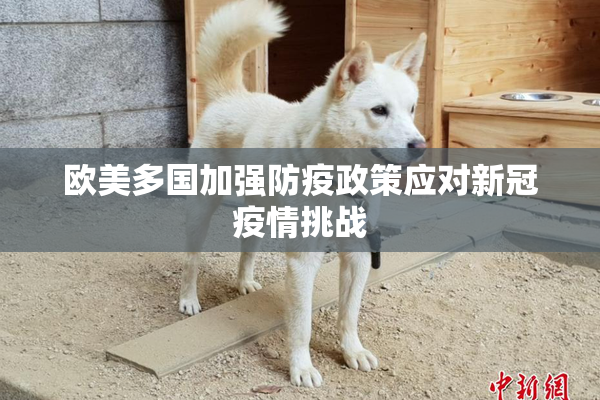 欧美多国加强防疫政策应对新冠疫情挑战