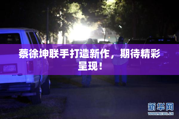 蔡徐坤联手打造新作，期待精彩呈现！