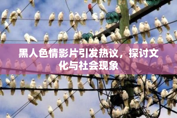 黑人色情影片引发热议，探讨文化与社会现象