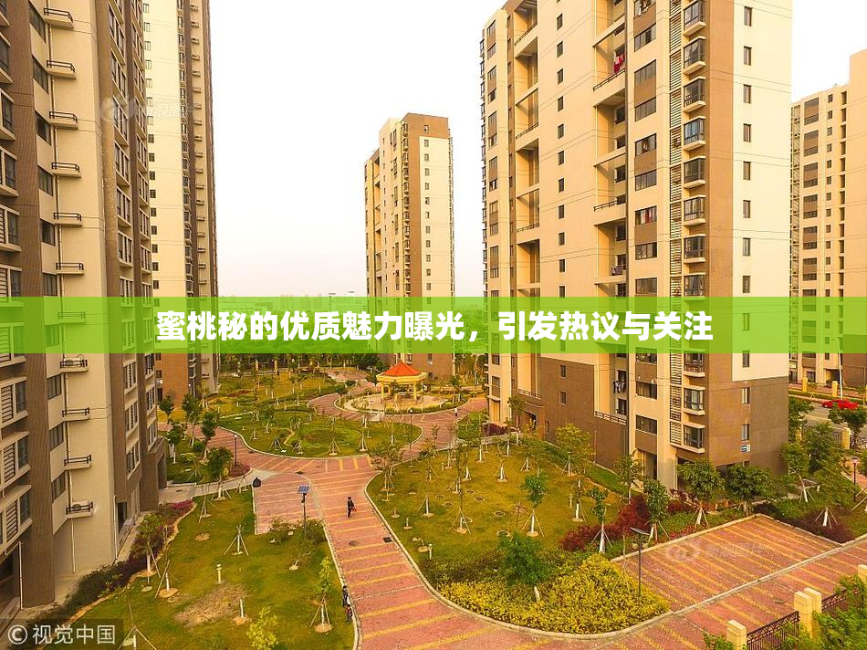 蜜桃秘的优质魅力曝光，引发热议与关注