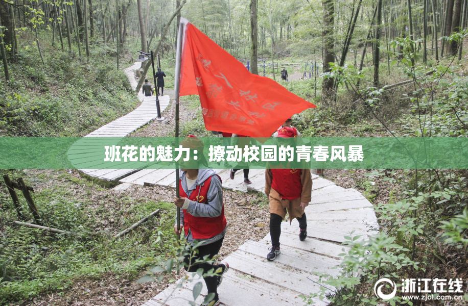 班花的魅力：撩动校园的青春风暴