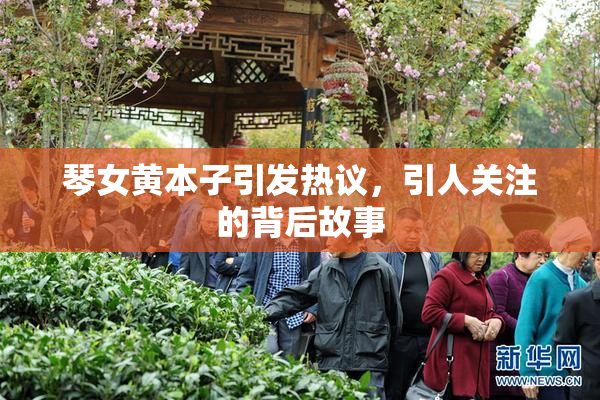 琴女黄本子引发热议，引人关注的背后故事