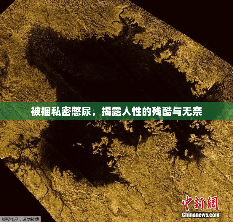 被捆私密憋尿，揭露人性的残酷与无奈