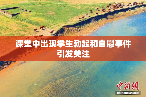 课堂中出现学生勃起和自慰事件引发关注