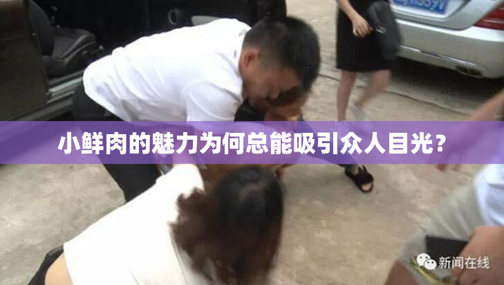 小鲜肉的魅力为何总能吸引众人目光？