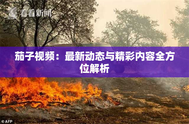 茄子视频：最新动态与精彩内容全方位解析