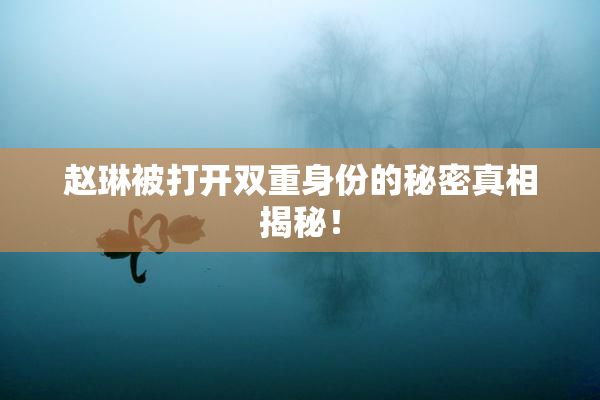 赵琳被打开双重身份的秘密真相揭秘！