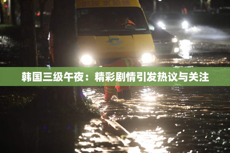 韩国三级午夜：精彩剧情引发热议与关注