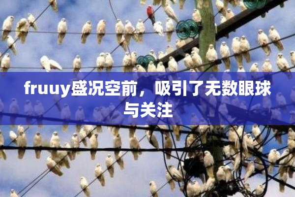 fruuy盛况空前，吸引了无数眼球与关注