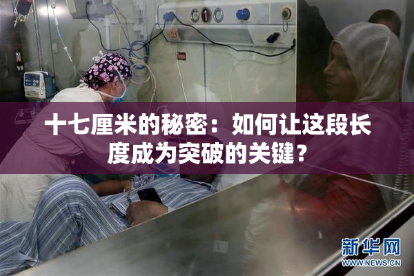 十七厘米的秘密：如何让这段长度成为突破的关键？