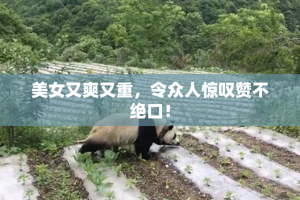 美女又爽又重，令众人惊叹赞不绝口！