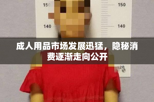 成人用品市场发展迅猛，隐秘消费逐渐走向公开