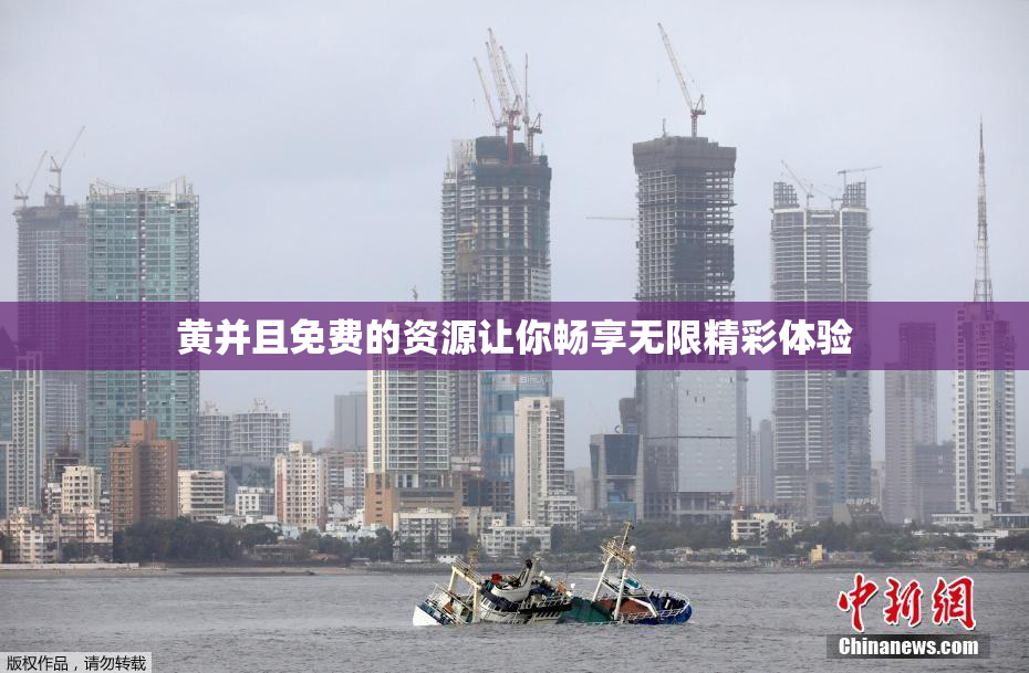 黄并且免费的资源让你畅享无限精彩体验