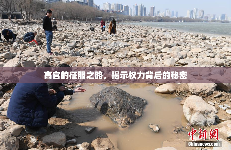 高官的征服之路，揭示权力背后的秘密