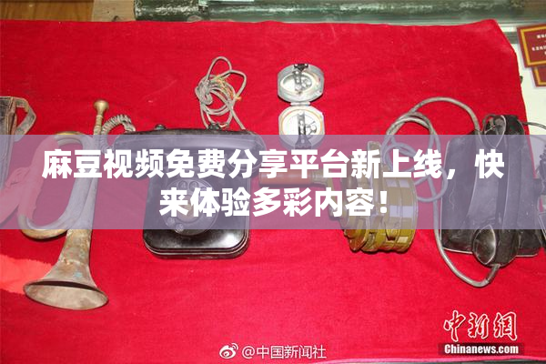 麻豆视频免费分享平台新上线，快来体验多彩内容！