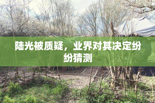 陆光被质疑，业界对其决定纷纷猜测