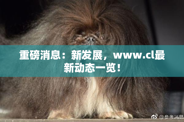 重磅消息：新发展，www.cl最新动态一览！